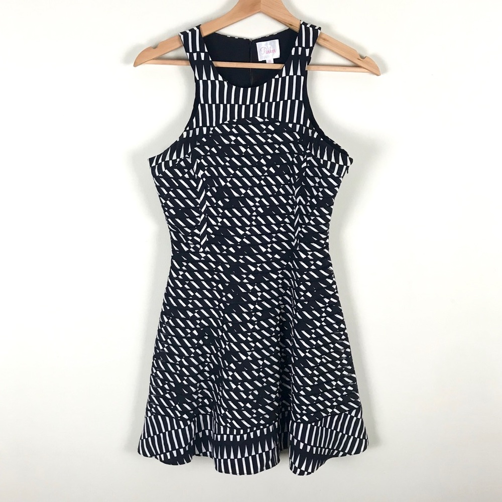 Parker Ebony 100% Silk Fit and Flare Dress - XS